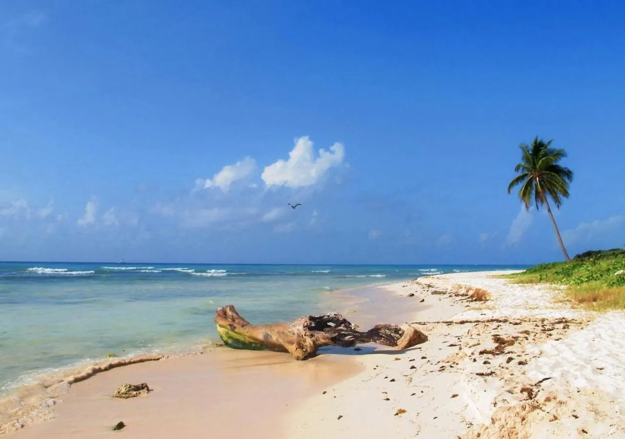 プレヤデルカーメン Casa Bugambilias Playa Bed & Breakfast メキシコ