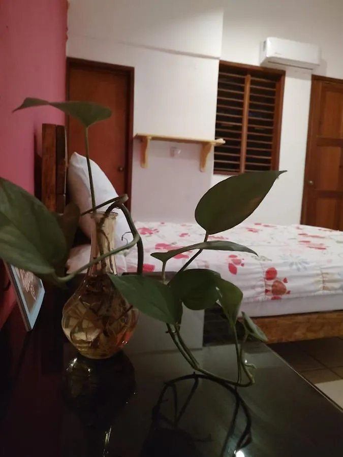 プレヤデルカーメン Casa Bugambilias Playa Bed & Breakfast