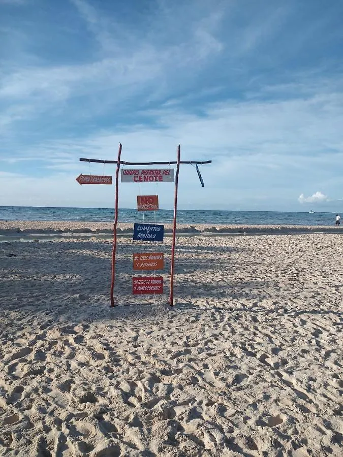 プレヤデルカーメン Casa Bugambilias Playa Bed & Breakfast